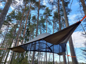 Отель Honkiniemi  Эхтяри